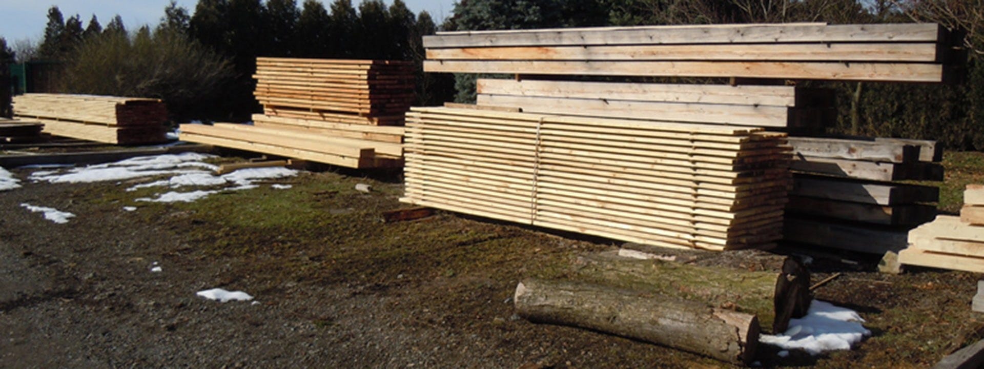 Sawmilling family business in Czech